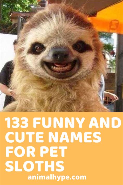 what to name my sloth
